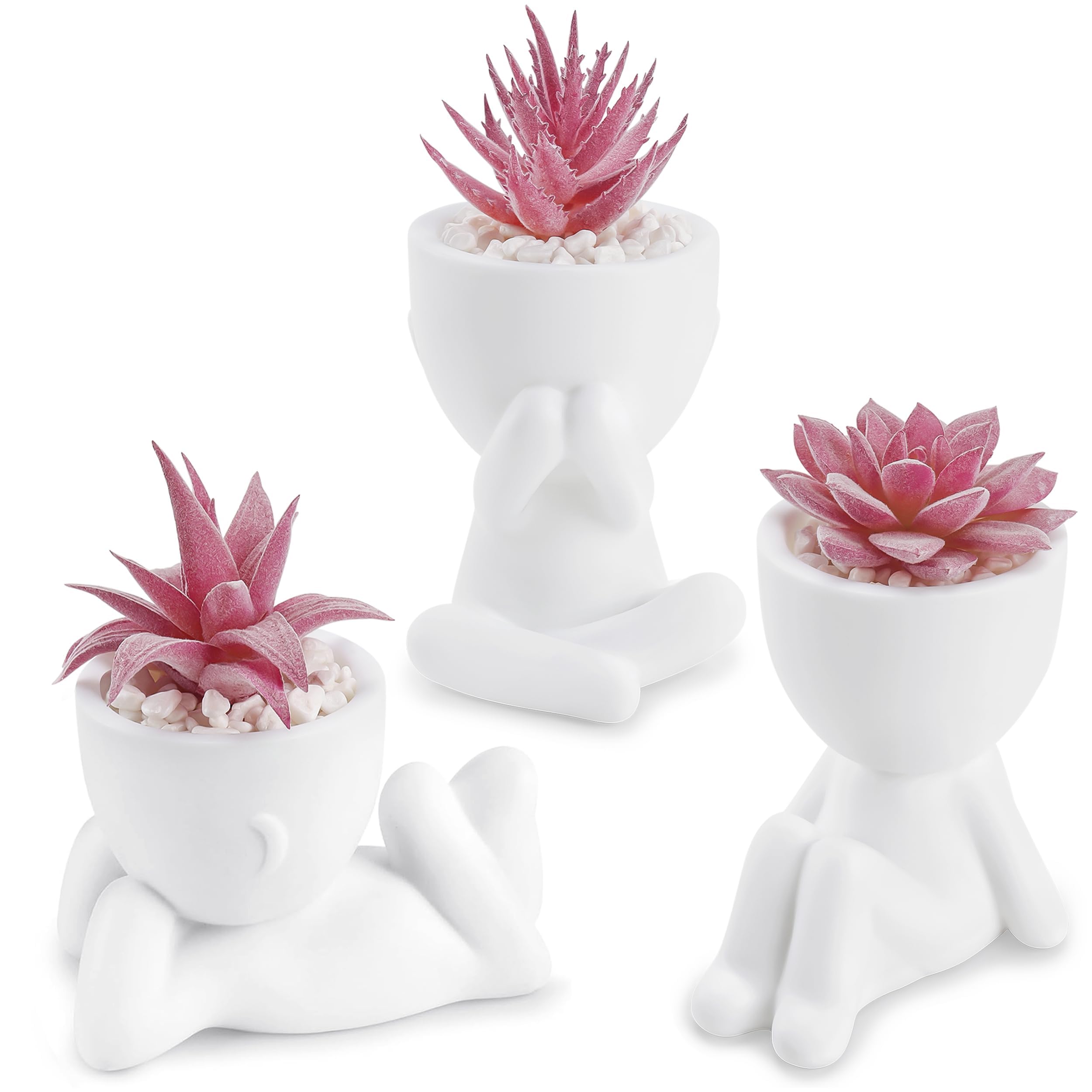 Der Rose 3pcs Fake Succulents Plants Artificial for Black Bathroom Bedroom Home Living Room Halloween Decor Aesthetic Indoor